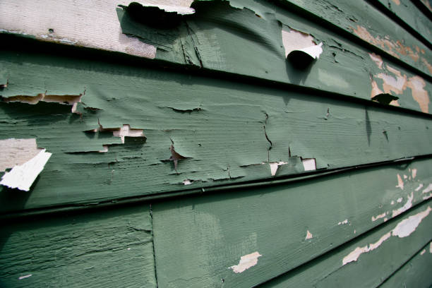 Best Siding Painting and Refinishing  in Snow Hill, MD